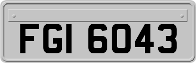 FGI6043