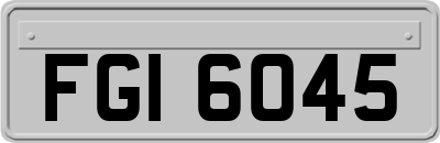 FGI6045