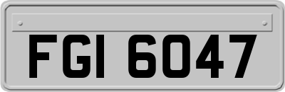 FGI6047