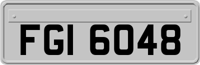 FGI6048