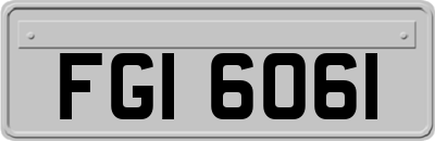 FGI6061