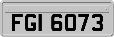 FGI6073