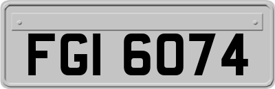 FGI6074