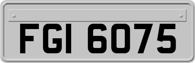 FGI6075