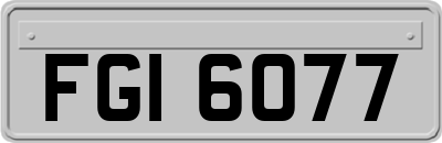 FGI6077