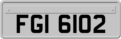 FGI6102
