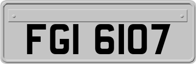 FGI6107