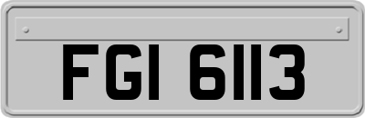 FGI6113