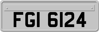 FGI6124