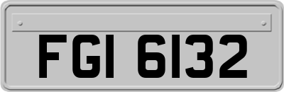 FGI6132
