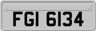 FGI6134