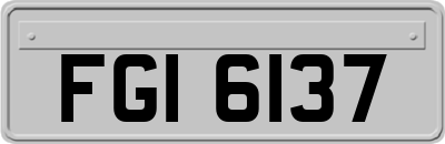 FGI6137