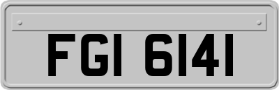 FGI6141