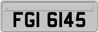 FGI6145