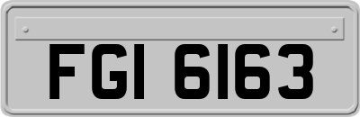 FGI6163