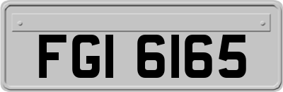 FGI6165