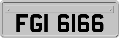 FGI6166