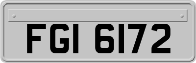 FGI6172