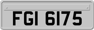 FGI6175
