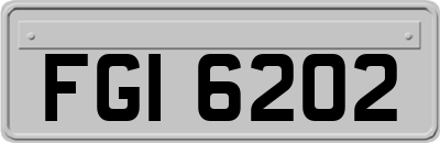FGI6202