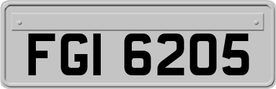 FGI6205