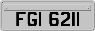 FGI6211