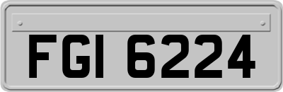 FGI6224