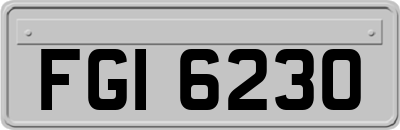 FGI6230
