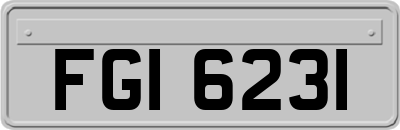FGI6231