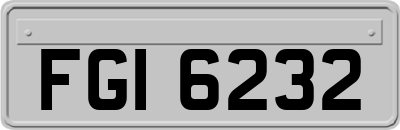 FGI6232