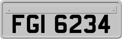 FGI6234
