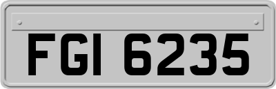 FGI6235