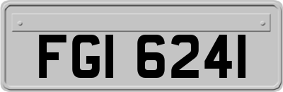 FGI6241