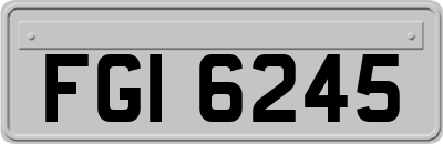 FGI6245