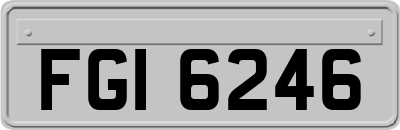 FGI6246