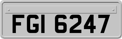 FGI6247