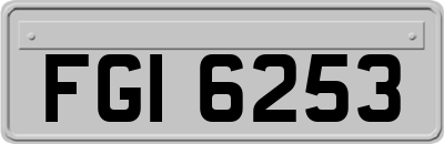 FGI6253