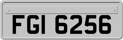 FGI6256