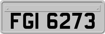 FGI6273