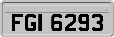 FGI6293