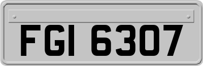 FGI6307