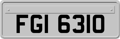 FGI6310