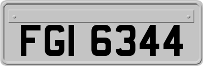 FGI6344