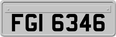 FGI6346