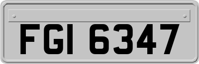 FGI6347