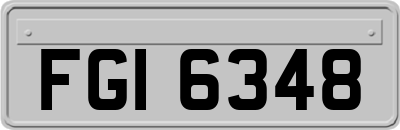 FGI6348