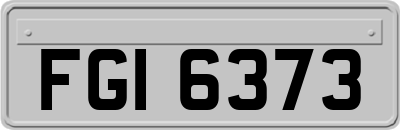 FGI6373