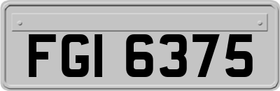 FGI6375