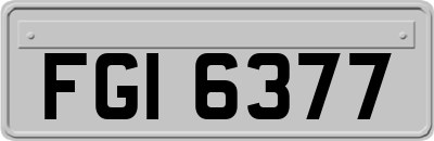 FGI6377