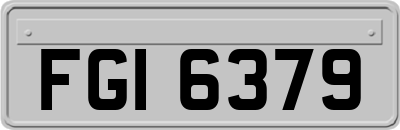 FGI6379